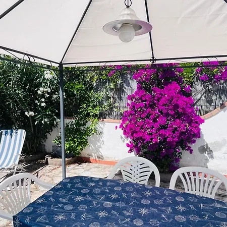 Giglio D'oro - Elba Affitti Appartement Portoferraio